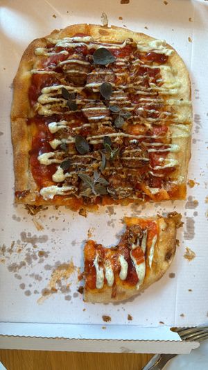   at Tolstoy in Vienna