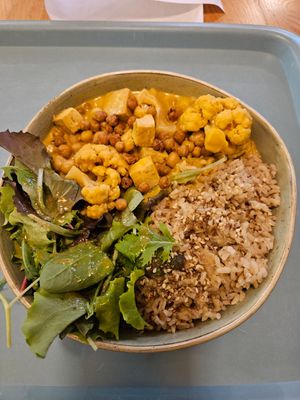  at Tolstoy in Vienna