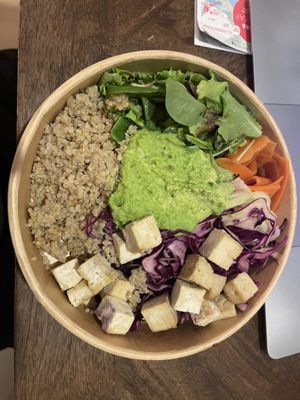   at Tolstoy in Vienna