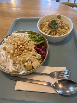 Pad thai and mac and cheesee  at Tolstoy in Vienna