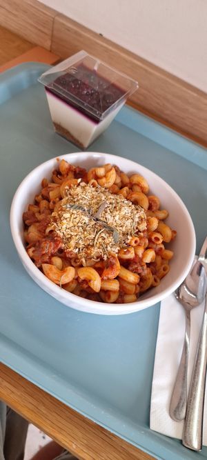 Mac Vologneise at Tolstoy in Vienna