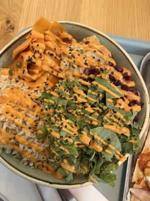   at Tolstoy in Vienna