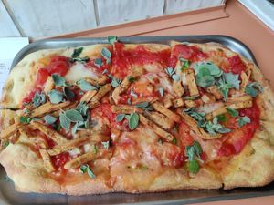  at Tolstoy in Vienna