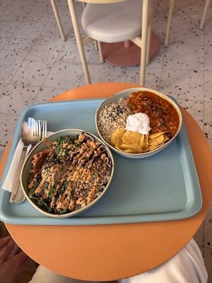   at Tolstoy in Vienna