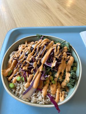   at Tolstoy in Vienna