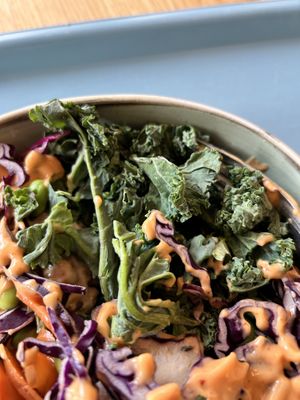   at Tolstoy in Vienna