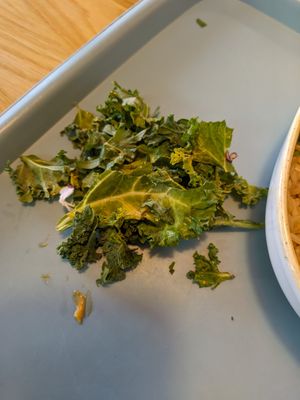  at Tolstoy in Vienna