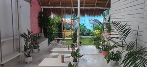 Inside at Matcha Mama - Centro in Tulum