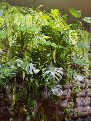  at Cinnamon in Sitges