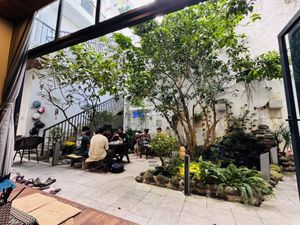 Garden area with seating   at Mom's Kitchen @ Chickpea Eatery  in Da Nang