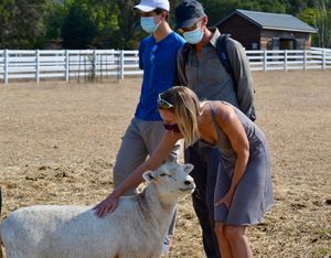 We stop by Charlie's Acres Farm Sanctuary for a tour to meet over 140 rescued animals.  at La Belle Vie Tours in Sonoma