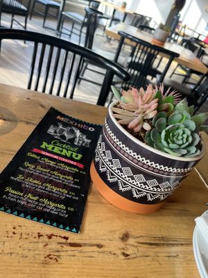 Beautiful vibe 💫✨  at Mexhico Restaurant in Barrie