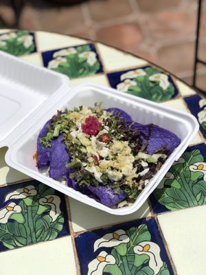 Quesadillas (I got take-out) at Vegan21 in San Miguel De Allende