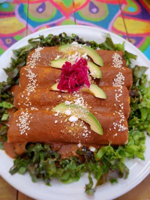 Mole! at Vegan21 in San Miguel De Allende