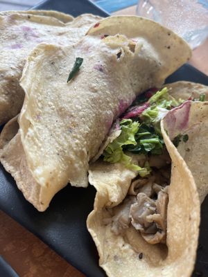 Seta tacos (no veggies, salsa—nada 😒)  at Vegan21 in San Miguel De Allende