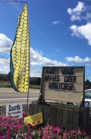 Near the road at Burton Floral & Garden in Burton