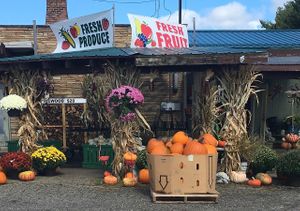 Exterior at Burton Floral & Garden in Burton