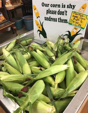 Corn at Burton Floral & Garden in Burton
