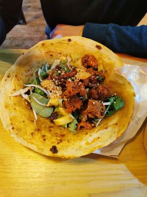  at Belly Worship in Auckland