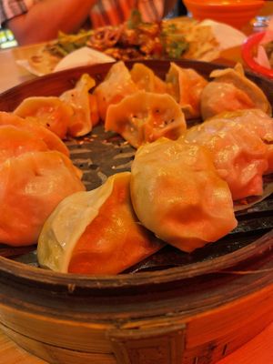   at Belly Worship in Auckland