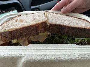 The California hiding out in the container at Vida's Plant Based Butcher in Columbus