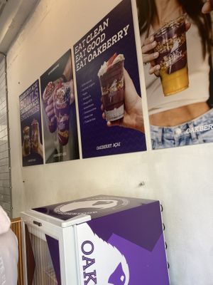 Oakberry wall   at Oakberry in Manly