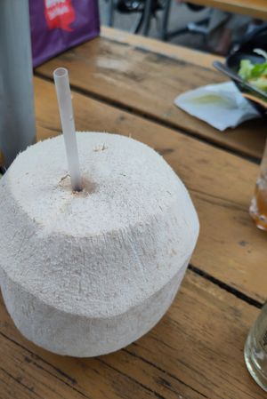 Coconut at Corsini in Berlin