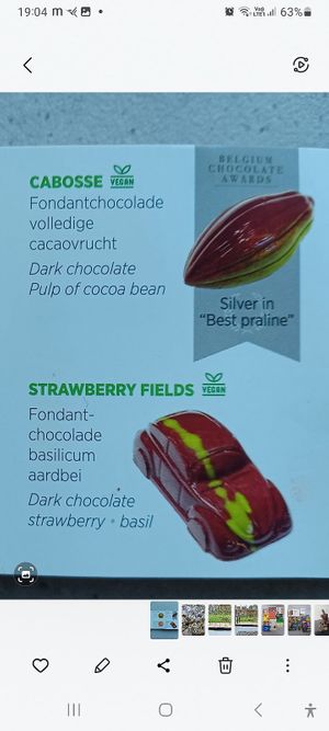  at Chocolaterie Vandenbouhede in Ghent