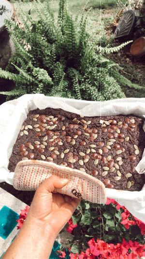 Pumpkin Brownies at G Bakes Vegan in Chiang Mai