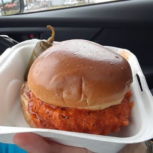 Spicy Project (absolutely delicious!) at Project Pollo in San Antonio