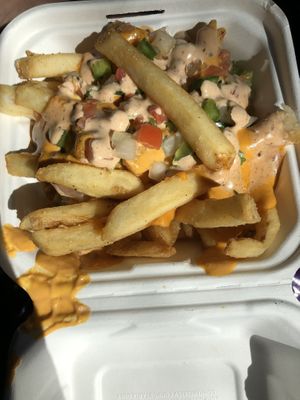 Loaded fries  at Project Pollo in San Antonio