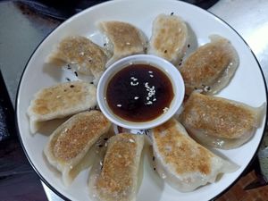 Gyoza at Veggie Lover Cafe in Vientiane