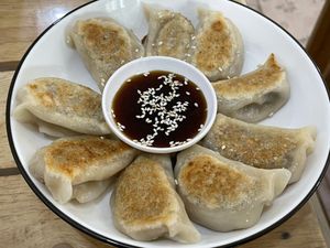 Gyoza, 30,000 kip  at Veggie Lover Cafe in Vientiane
