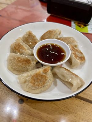 Gyoza  at Veggie Lover Cafe in Vientiane