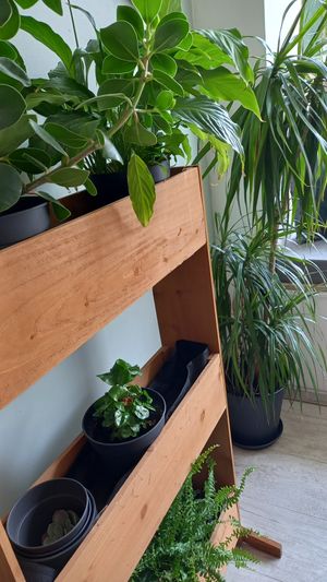  at Kraut & Rüben in Koblenz