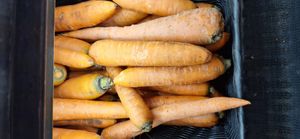  at South Philly Food Co-op in Philadelphia