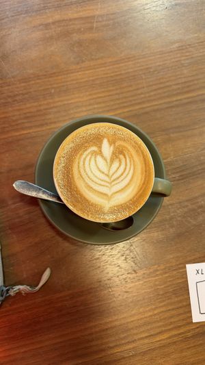   at Rubicund Books and Coffee in Falmouth