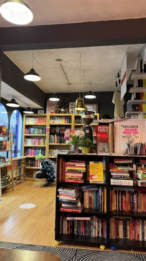   at Rubicund Books and Coffee in Falmouth