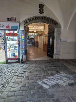 The entry way to get to Linh's at Linh - Not Just A Restaurant in Prague