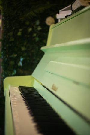  at Linh - Not Just A Restaurant in Prague