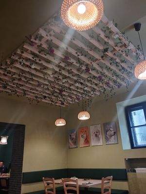 Interior at Linh - Not Just A Restaurant in Prague