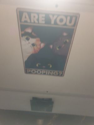 Toilet - 8/10 at Linh - Not Just A Restaurant in Prague