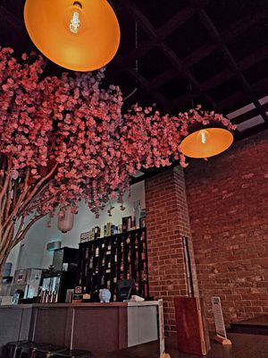  at Sushi Me Rollin' in Newcastle Upon Tyne