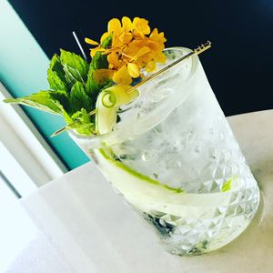 The “Giggle Water” Cocktail: blanco tequila, lime juice, agave, mint, cucumber, salt.  at Cyth & Co in Oakland Park