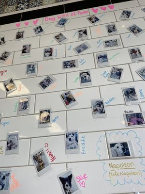   at Cafe Napoleon in Warners Bay