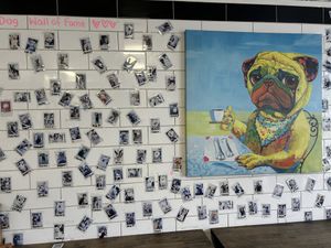   at Cafe Napoleon in Warners Bay