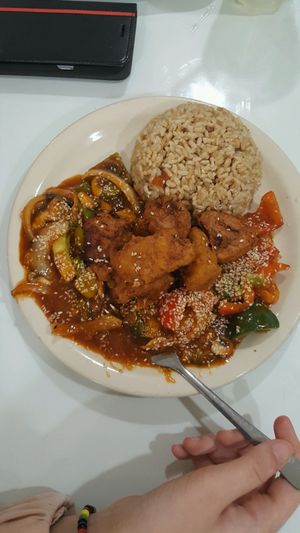 sesame at Loving Hut in Tampa