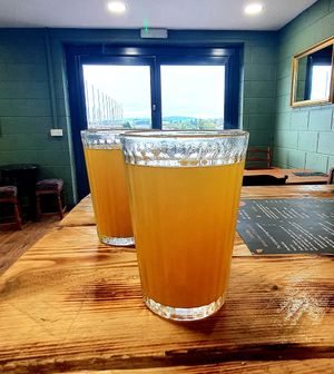 Organic Apple Cider Vinegar, Lemon and Turmeric Daily Detox Drink at Cafe Zero + Purely Vegan Bistro in Bridgnorth