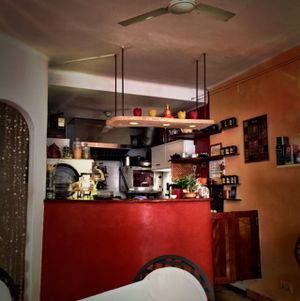 Interior  at Natural Cafe in Mallorca