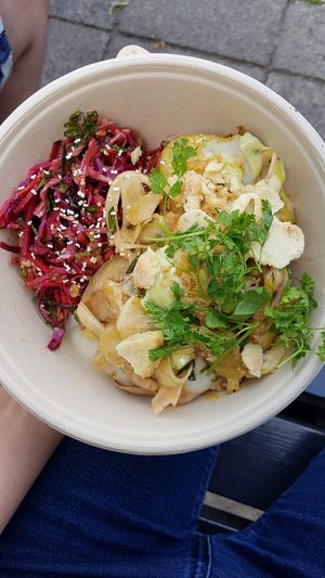 Fennel salad, pink cole slaw, vegan tarragon silken tofu mayonnaise, turnip orange purree and anise crunch at Caspar Plautz in Munich